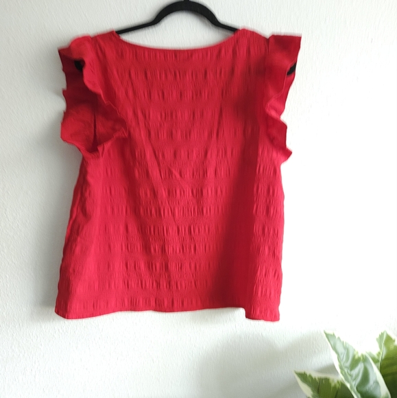 Shein Ruffle sleeve square neck top - Picture 2 of 2